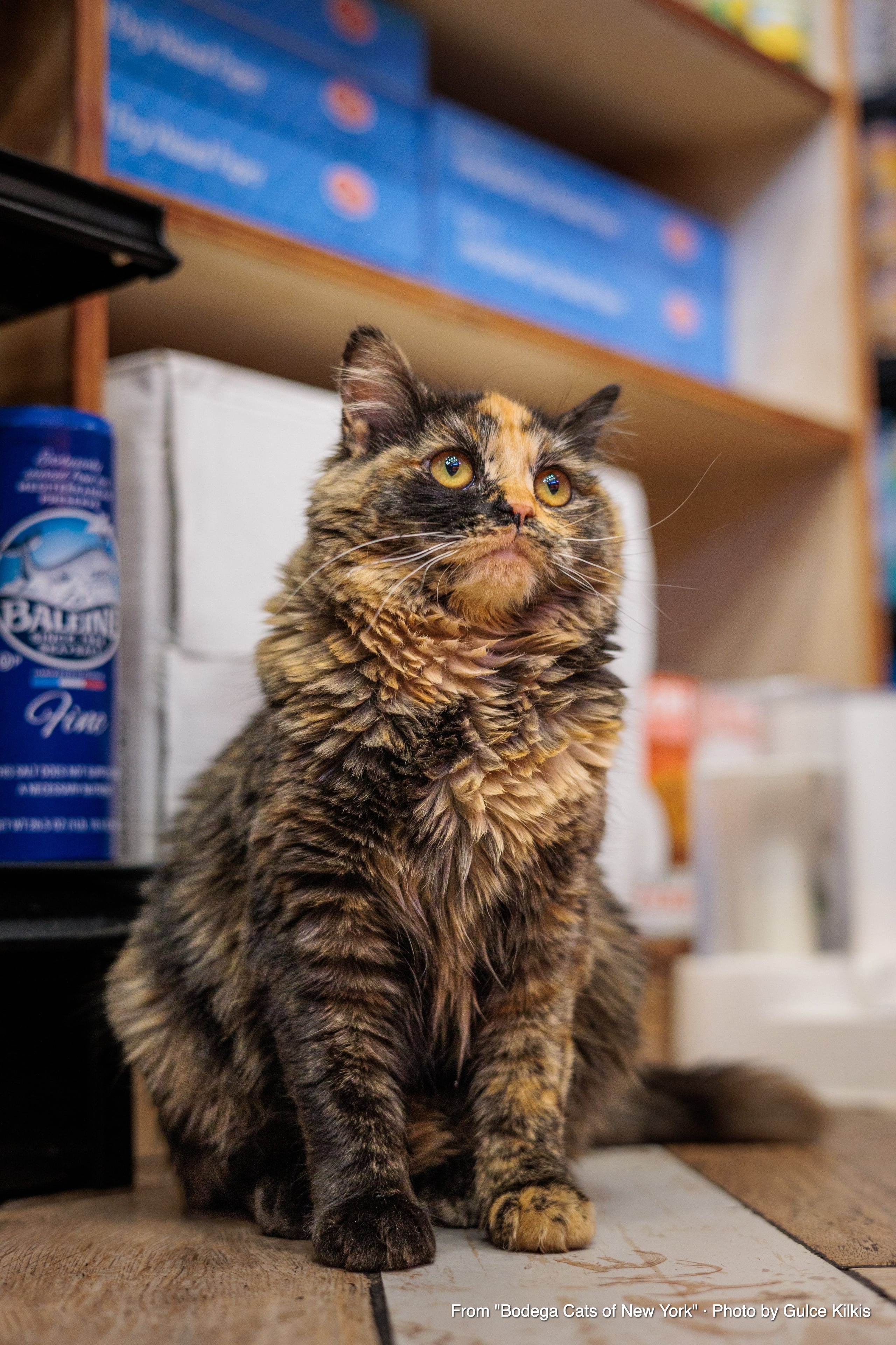 Kiki: She Claims the ATM